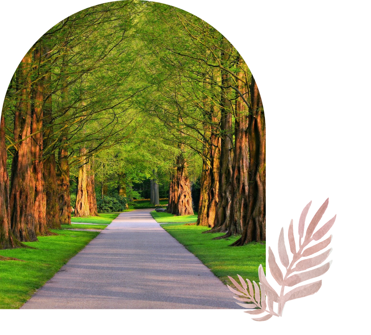 Peaceful walkway under green canopy